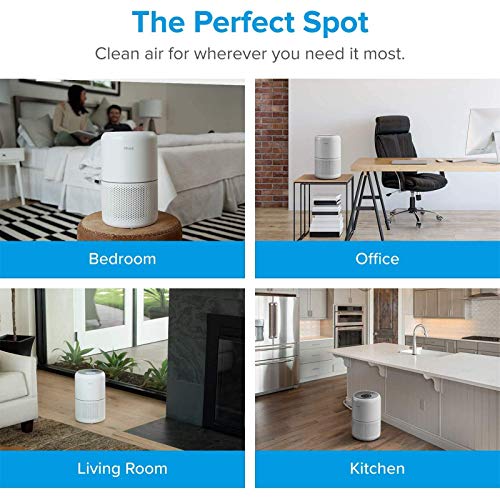 LEVOIT Core300-P Air Purifier | HEPA, 1073 ft² Coverage - Fine Filters
