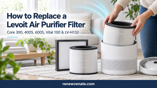 How to Replace a Levoit Air Purifier Filter (Core 300, 400S, 600S, Vital 100 & LV-H132)