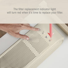 ConairPure (2 Pack)  Medium Room AIR PURIFIER Replacement Filter APRP04 200 Sq. Ft. 2,500 Hours