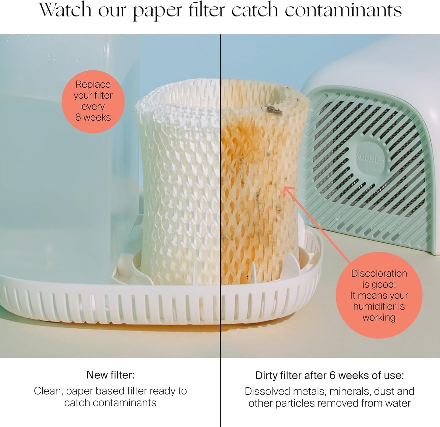Canopy Original Bedside Humidifier Replacement Filters, 3 Pack