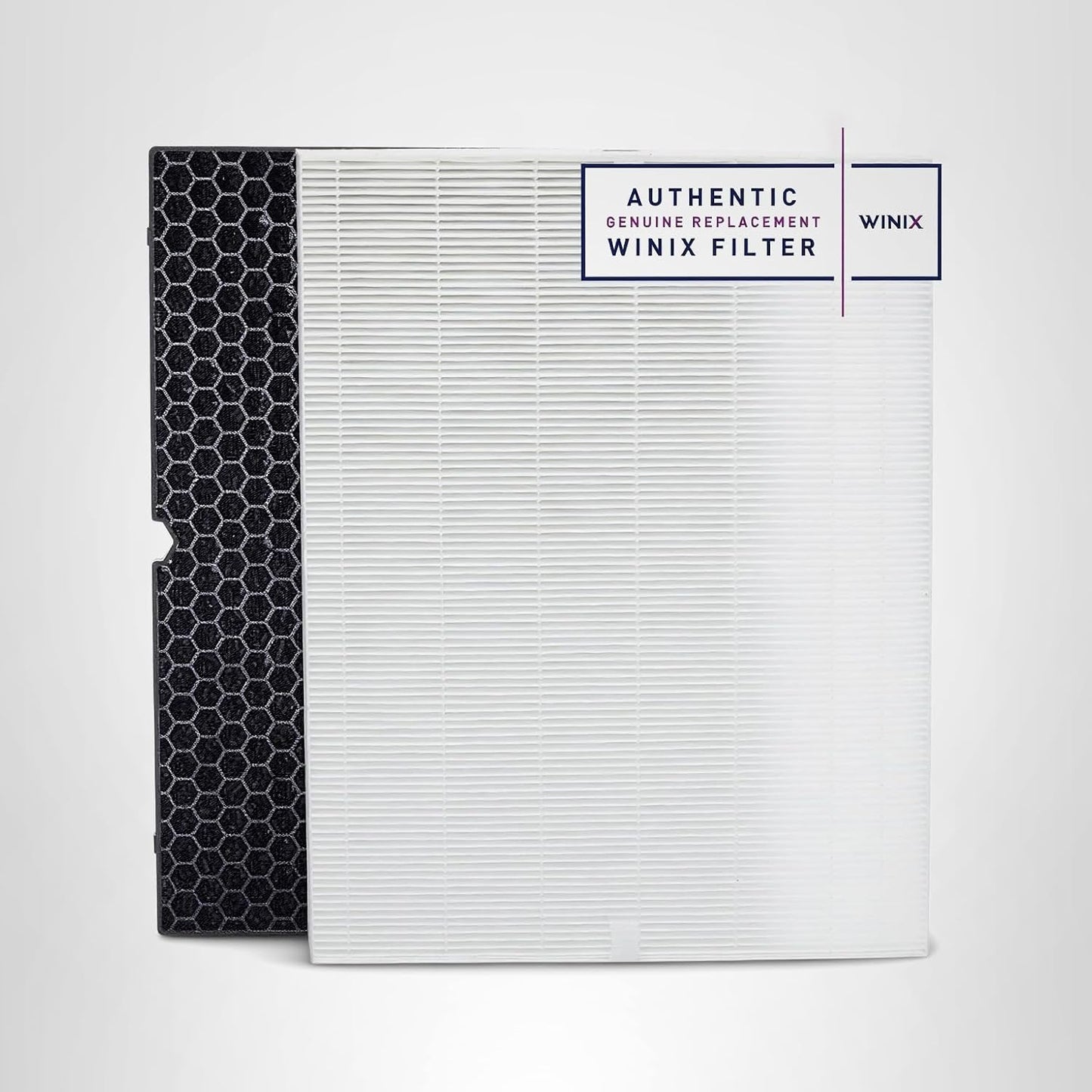 Winix 116130 Genuine Replacement Filter H for Winix 5500-2 Air Purifier