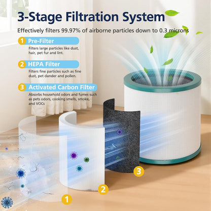 Replacement Filter for Dyson TP01, TP02, TP03, AM11 & BP01 Air Purifiers, HEPA and Activated Carbon Filter, 2-Pack