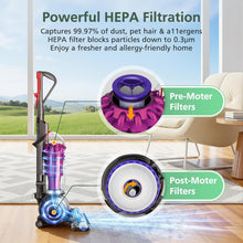 Replacement HEPA Filter Kit for Dyson Animal Ball Vacuum Cleaners, Washable, High Efficiency, 2 Pack