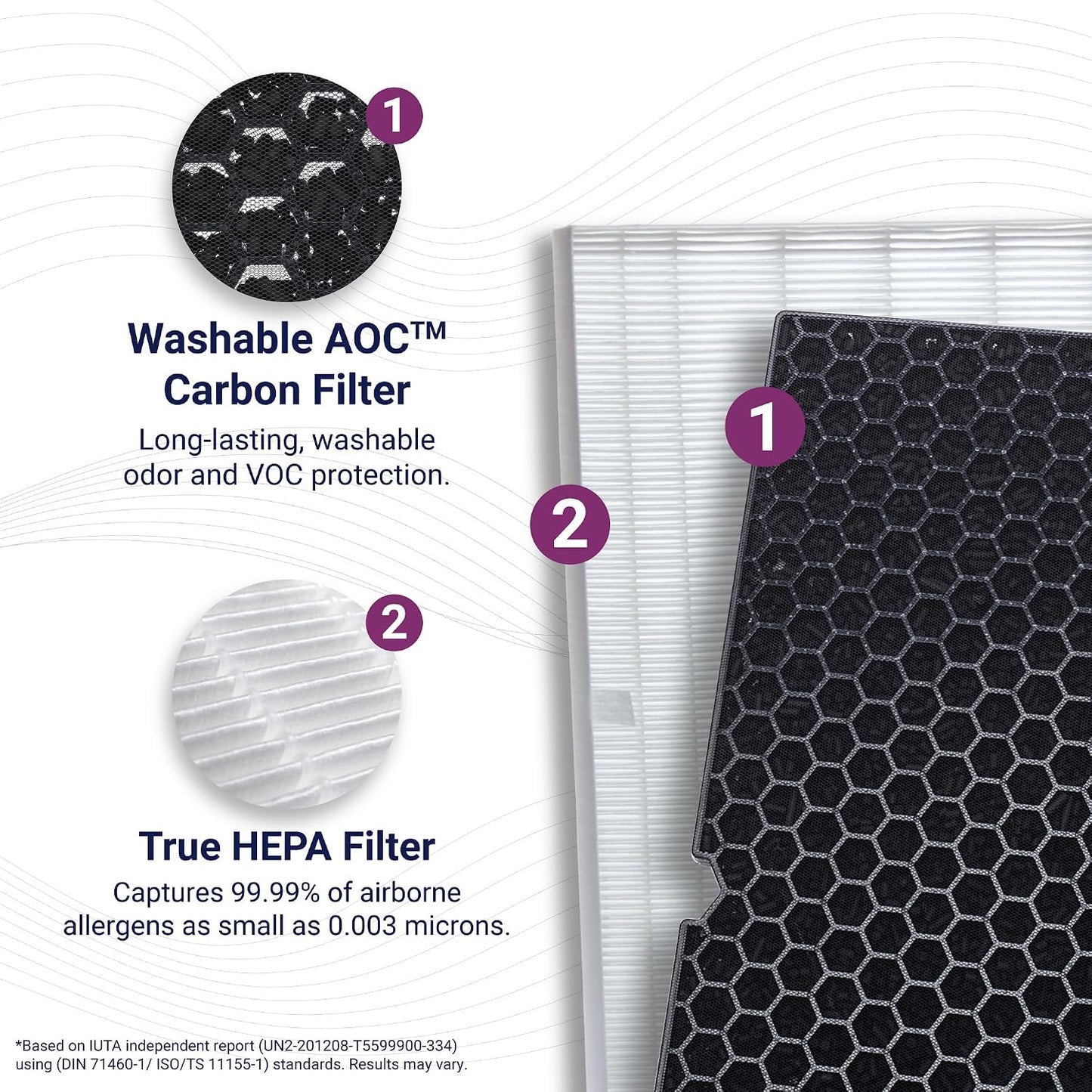 Winix 116130 Genuine Replacement Filter H for Winix 5500-2 Air Purifier