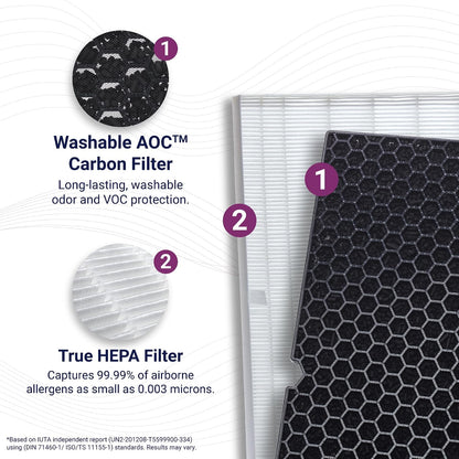 Winix 116130 Genuine Replacement Filter H for Winix 5500-2 Air Purifier