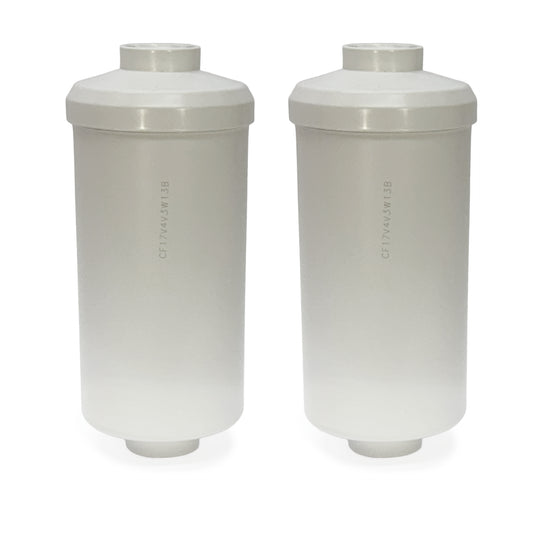 Compatible Replacement Filter for Berkey PF-2 Fluoride Filter | Gravity Water Filter | 2-Pack