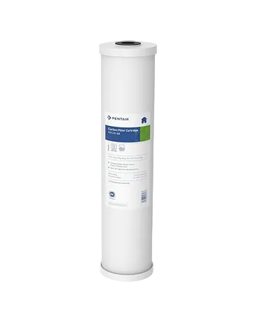 Pentair Pentek RFC20-BB 20" x 4.5" Big Blue Radial Flow Carbon Water Filter Cartridge