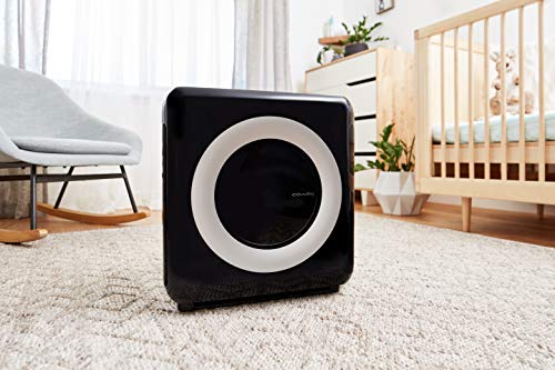 Coway AP-1512HH Mighty Air Purifier with True HEPA and Eco Mode - Fine Filters