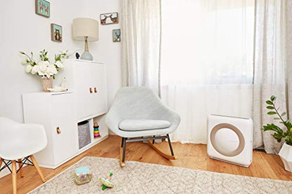 Coway AP-1512HH Mighty Air Purifier with True HEPA and Eco Mode - Fine Filters