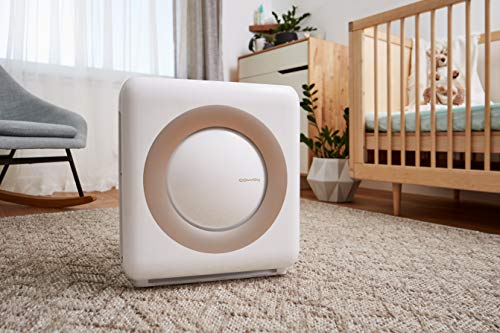 Coway AP-1512HH Mighty Air Purifier with True HEPA and Eco Mode - Fine Filters