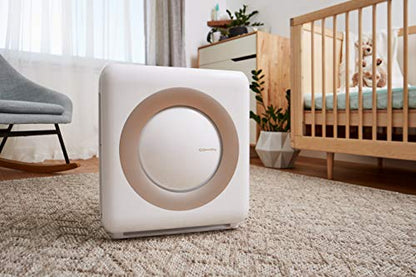 Coway AP-1512HH Mighty Air Purifier with True HEPA and Eco Mode - Fine Filters