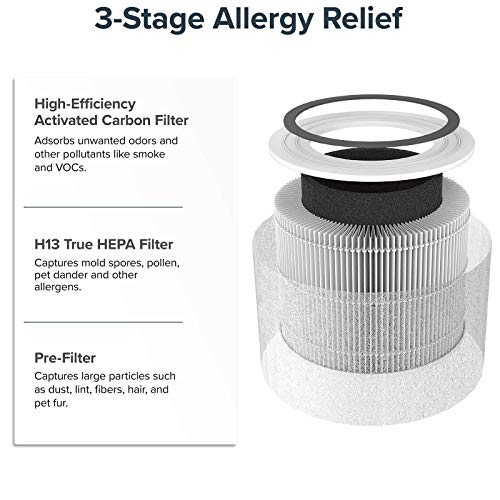 LEVOIT Core300-P Air Purifier | HEPA, 1073 ft² Coverage - Fine Filters