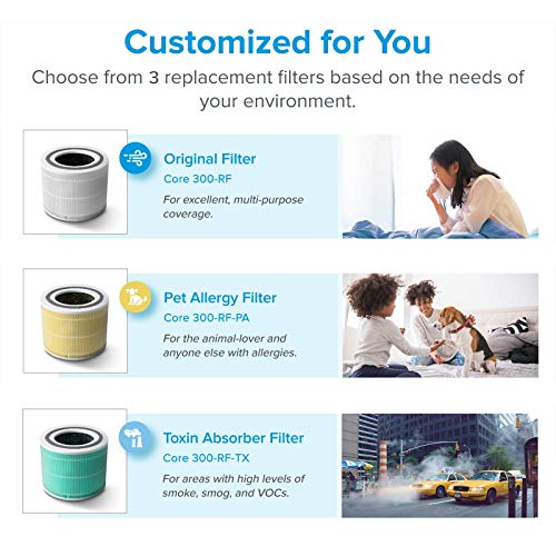 LEVOIT Core300-P Air Purifier | HEPA, 1073 ft² Coverage - Fine Filters