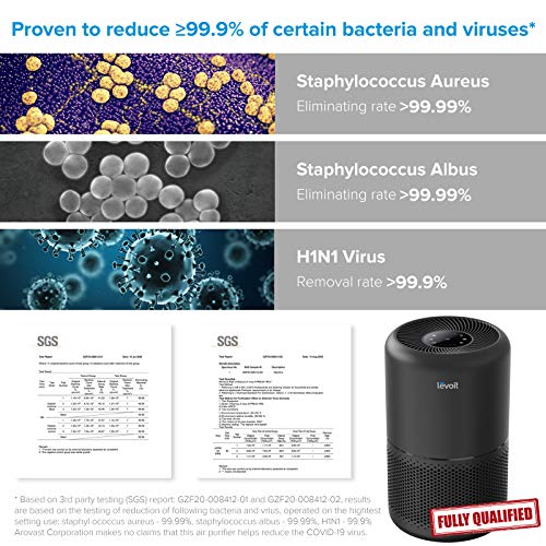 LEVOIT Core300-P Air Purifier | HEPA, 1073 ft² Coverage - Fine Filters