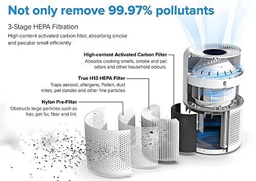 LEVOIT Core300-P Air Purifier | HEPA, 1073 ft² Coverage - Fine Filters
