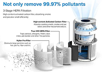 LEVOIT Core300-P Air Purifier | HEPA, 1073 ft² Coverage - Fine Filters